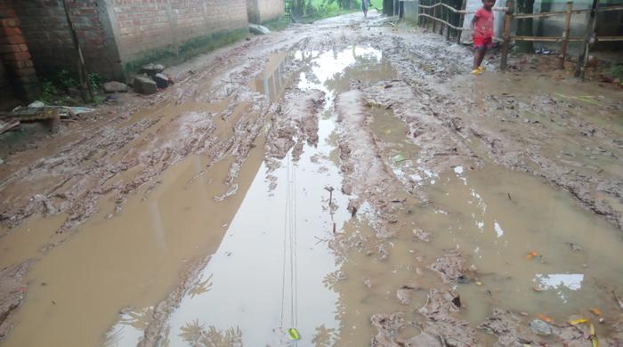 ধাপেরহাটের গ্রামীণ সড়কের বেহাল দশা