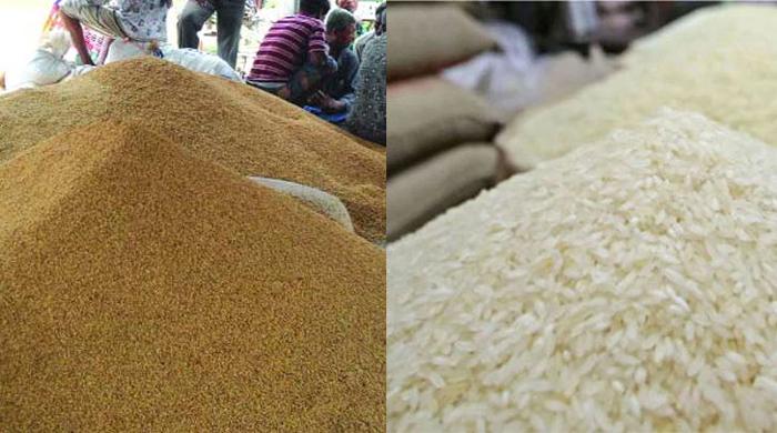 ৩০ টাকায় ধান আর ৪৪ টাকায় চাল কিনবে সরকার