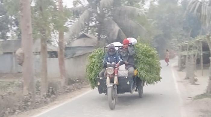 ফের জেঁকে বসেছে ঠান্ডা, কাহিল জনজীবন