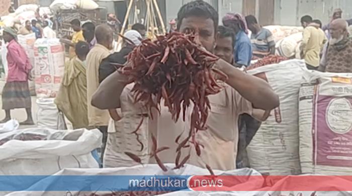 ফুলছড়ির লাল মরিচের হাটে সিন্ডিকেটের কালো থাবা 