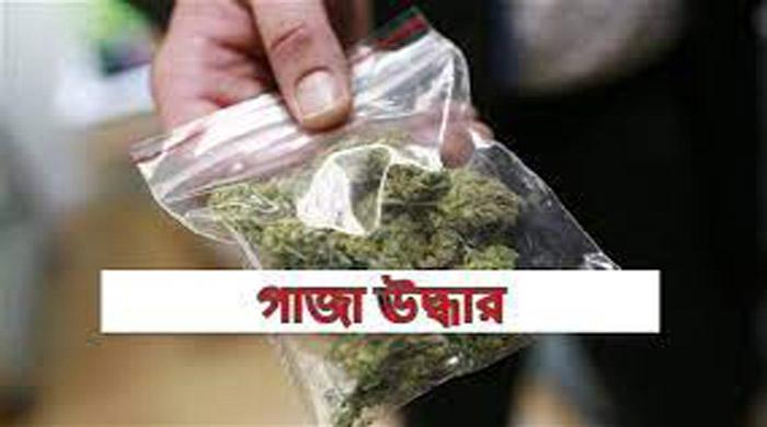 সাঘাটায় ১ কেজি ২০০ গ্রাম গাঁজা উদ্ধার এক নারী গ্রেফতার