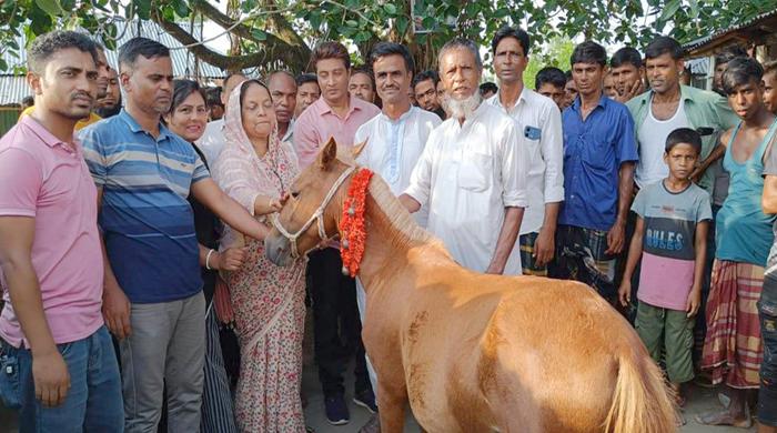  ঘোড়া দিলেন অসহায় ছয় পরিবারকে