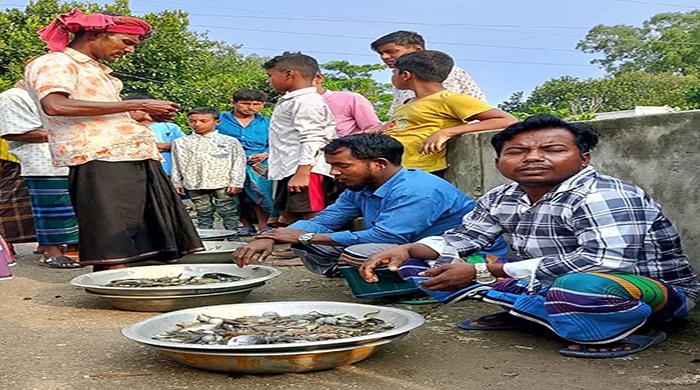 অবাধে নিধান হচ্ছে মা ও পোনা মাছ