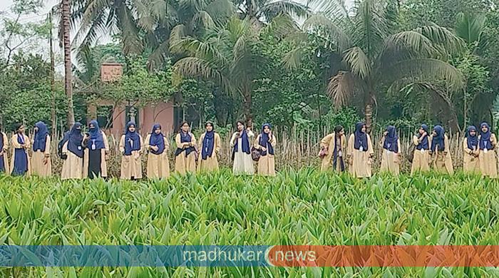 হাতে কলমে কৃষি শিক্ষা: সৈয়দপুর উদ্যান উন্নয়ন কেন্দ্র