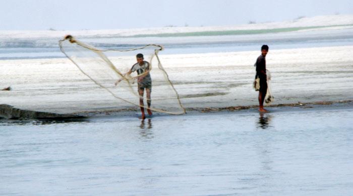 মৎস্য শিকারি 