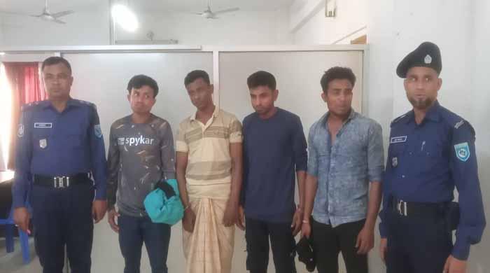 পলাশবাড়ীতে ৫টি চোরাই গরু উদ্ধার