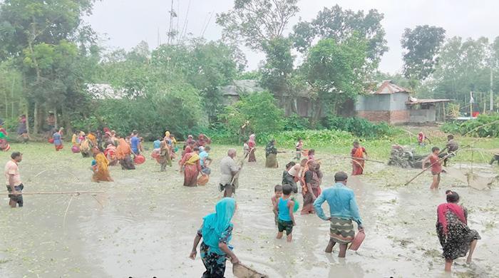 হাল চাষের জমিতে মাছ ধরার অভিনব কৌশল