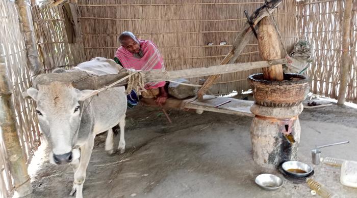 হারিয়ে যাচ্ছে ঘানি শিল্প হারিয়ে যাচ্ছে ঘানি শিল্প