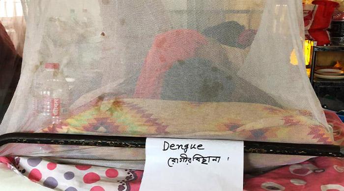 ডেঙ্গু রোগী বাড়ছে, টনক নড়ছে না!