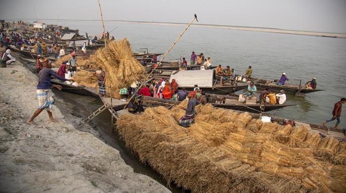 গো-খাদ্যের সংকট