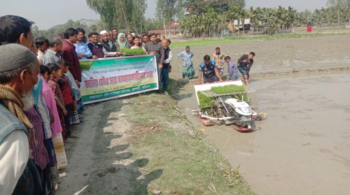 ফুলবাড়ীতে রাইস ট্রান্সপ্লান্টারে ধানের চারা রোপণ কর্মসূচির উদ্বোধন
