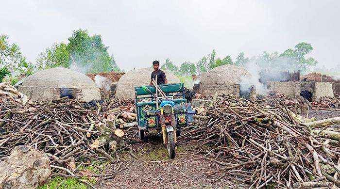 সাঘাটায় অবৈধ কাঠ কয়লা তৈরির কারখানা জনস্বাস্থ্য এবং পরিবেশ ঝুঁকিতে