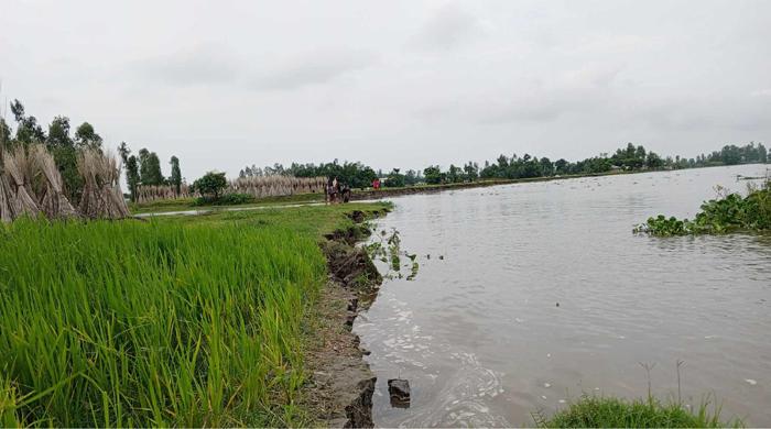 সুন্দরগঞ্জে তিস্তায় পানি বৃদ্ধি, নিচু এলাকা প্লাবিত