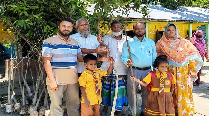 ফুলছড়িতে শিক্ষার্থীদের মাঝে আম গাছের চারা বিতরণ