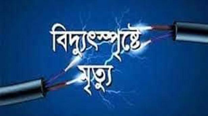 গোবিন্দগঞ্জে বিদ্যুৎ স্পৃষ্ট হয়ে খামার মালিকের মৃত্যু  