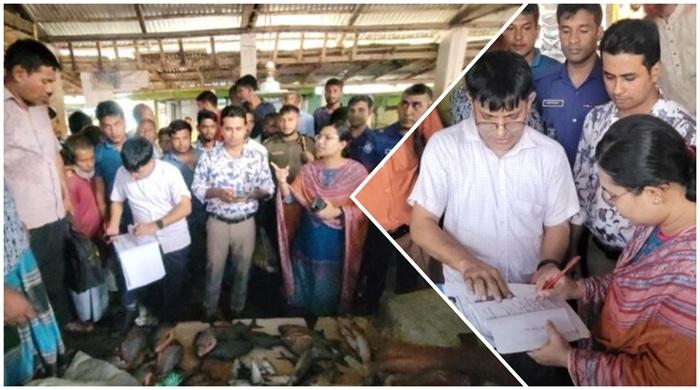 নীলফামারীতে নিষিদ্ধ পিরানহা মাছ বিক্রি, ৩ ব্যবসায়ীর জরিমানা