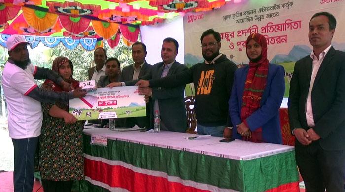 নওগাঁয় ব্যতিক্রমী বাছুরের মেলা অনুষ্ঠিত