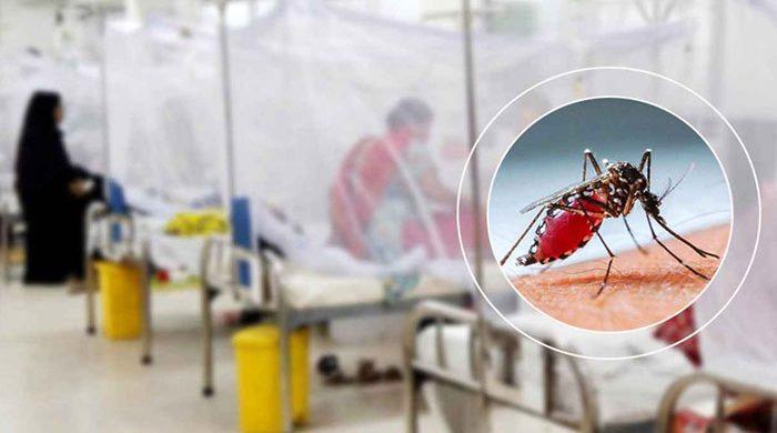 ডেঙ্গুতে আরও ৫ জনের মৃত্যু, হাসপাতালে ভর্তি ১১৩৯