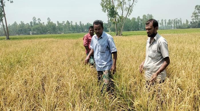 এ কেমন শক্রতা...