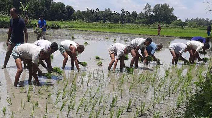  পীরগঞ্জে রিসিভার নিয়োগকৃত জমি প্রকৃত মালিককে দেয়া হলো