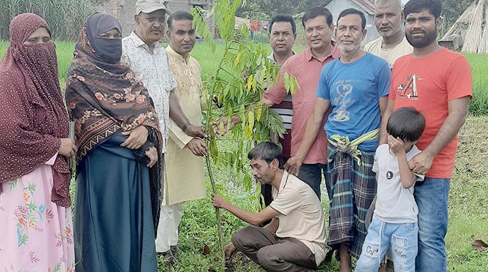 লালপুরে পশ্চিম কালুপাড়া যুব সংঘের উদ্যোগে বৃক্ষরোপণ কর্মসূচি অনুষ্ঠিত