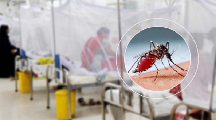 ডেঙ্গুতে আরও ৬ জনের মৃত্যু, হাসপাতালে ভর্তি ৭৮৮