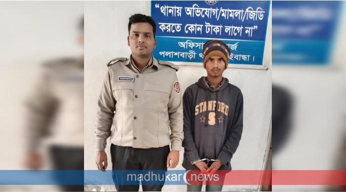 পলাশবাড়ীতে বিআরটিসি বাসে মিললো গাঁজা, গ্রেপ্তার ১