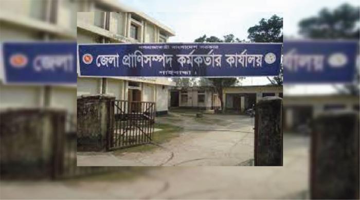 গাইবান্ধায় বাড়ছে ভুয়া পশু চিকিৎসকদের দৌরাত্ম