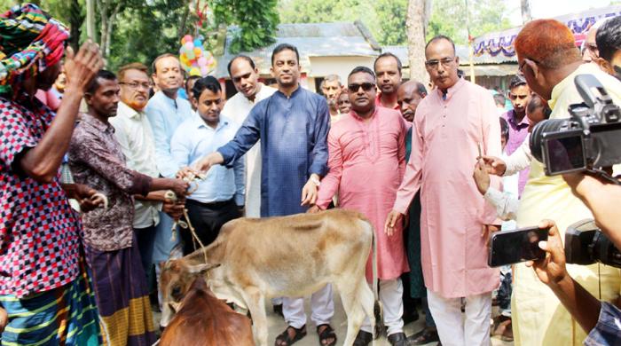 সাঘাটায় সুবিধাবঞ্চিত ৭ পরিবারের মাঝে গরু বিতরণ