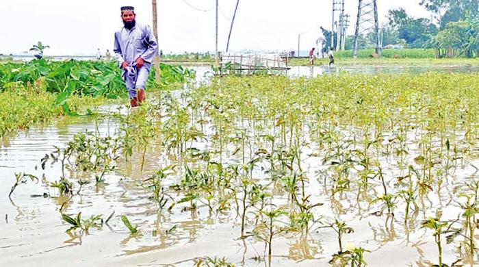 উত্তরের ৪ জেলায় বন্যার আভাস