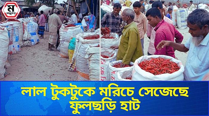 উত্তরবঙ্গের সর্ববৃহৎ মরিচের হাটে কোটি টাকার বেচাকেনা