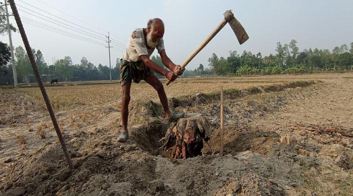 ৯০ বছর বয়সে ও কঠোর কায়িকশ্রম করছেন আয়েজ উদ্দিন। ছবিটি সাঘাটা উপজেলার ভরতখালী ইউনিয়নের ভাঙামোড় থেকে তোলা-মাধুকর