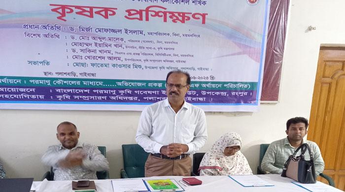 পলাশবাড়ীতে চাষাবাদ কলাকৌশল শীর্ষক কৃষক প্রশিক্ষণ