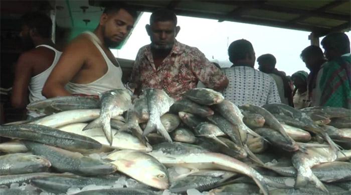 ভারতে ইলিশ রপ্তানির প্রতিবাদে লিগ্যাল নোটিশ