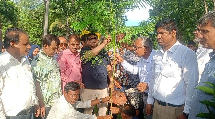 গাইবান্ধা আদর্শ কলেজে বৃক্ষরোপন ও গাছের চারা বিতরণ