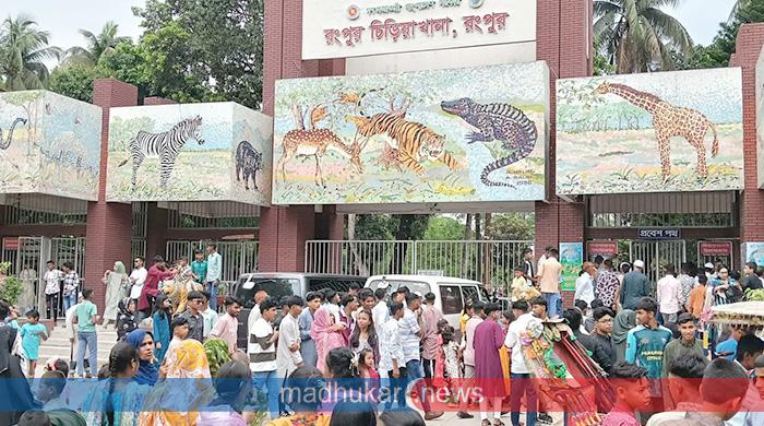 রংপুরে চিড়িয়াখানাসহ বিনোদন কেন্দ্রে উপচে পড়া ভিড়