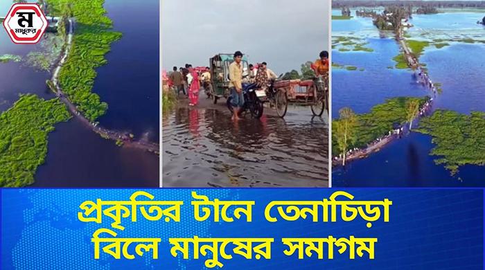 প্রকৃতির টানে তেনাচিড়া বিলে মানুষের সমাগম