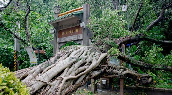 তাইওয়ানে সুপার টাইফুন ‘চাম্পি’র তাণ্ডব: একজনের মৃত্যু, আহত পাঁচ শতাধিক