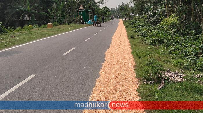  সুন্দরগঞ্জে সড়কগুলো যেন এখন ভূট্টা, ধান শুকানোর চাতাল