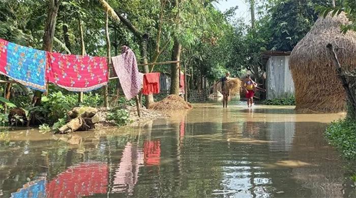 লালমনিরহাটে তিস্তার পানি বিপৎসীমার ওপরে, নিম্নাঞ্চল প্লাবিত