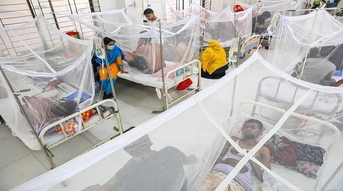 সারাদেশে ডেঙ্গুতে প্রাণ গেল আরও ১৪ জনের