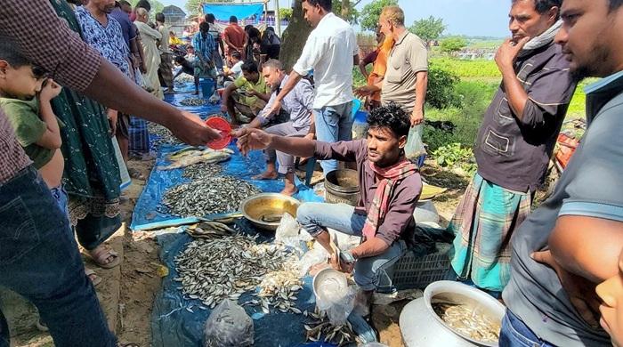 ঠাকুরগাঁও বুড়ির বাঁধে মাছ ধরার বাঁধভাঙ্গা উৎসব