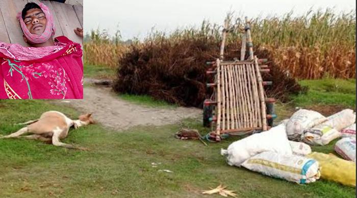 ফুলছড়ির চরাঞ্চলে পৃথক স্থানে বজ্রপাতে যুবকের মৃত্যু, আহত ১