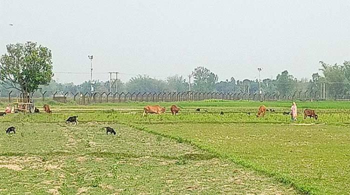 লালমনিরহাট সীমান্তে বিএসএফের গুলিতে বাংলাদেশি নিহত