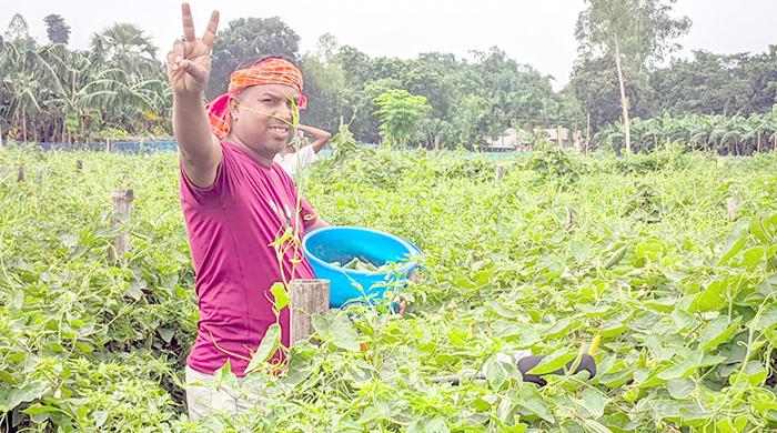 পটল চাষে সাফল্যের হাসি কৃষক রশিদুলের