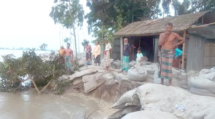 তিস্তায় ২৫টি বাড়ি নদী গর্ভে বিলীন, স্রোতে ভেঙে যাচ্ছে জিও ব্যাগ