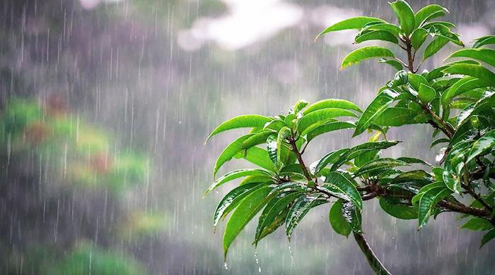 দেশের বিভিন্ন অঞ্চলে আগামী পাঁচ দিন বৃষ্টি ও বজ্রবৃষ্টির আভাস