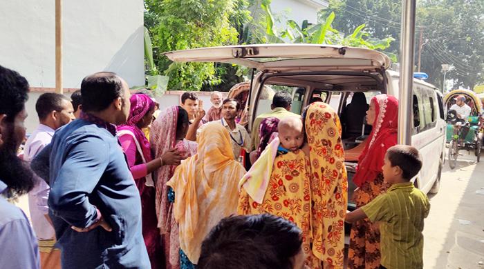 নীলফামারীতে শিয়ালের কামড়ে শিশুসহ আহত ৬