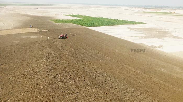 তিস্তার বুক জুড়ে চলছে চাষাবাদের ধুম