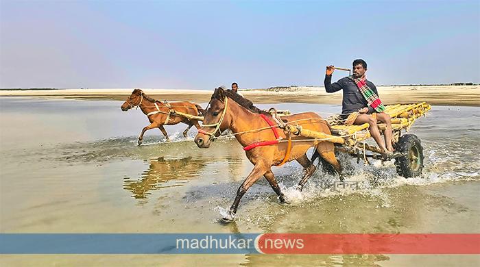 চরাঞ্চলে জনপ্রিয় বাহন এখন ‘টাট্টু ঘোড়ার গাড়ি’